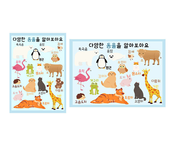 동물 알아보기