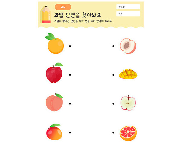 과일 단면을 찾기