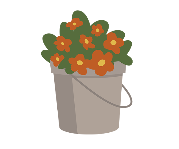 꽃