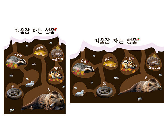 겨울잠 자는 생물