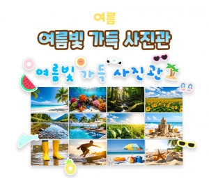 여름빛 가득 사진관
