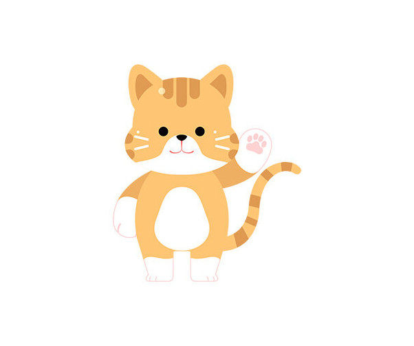고양이