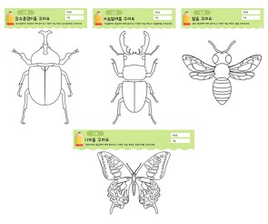 곤충을 꾸며요