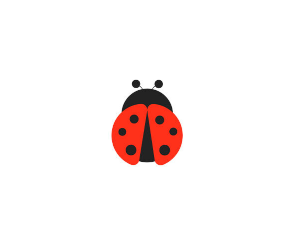 무당벌레