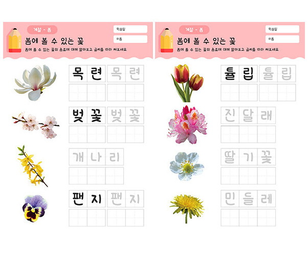 봄에 볼 수 있는 꽃