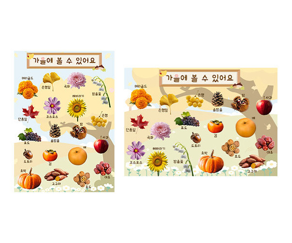 가을에 볼 수 있어요