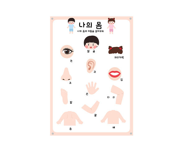 나의 몸 포스터 만들기2