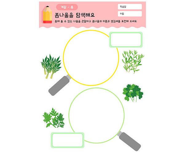봄나물을 탐색해요