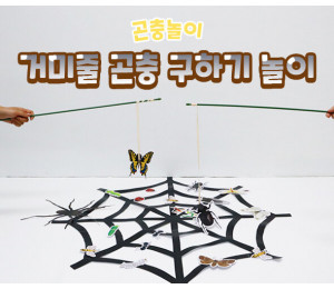 거미줄 곤충 구하기 놀이