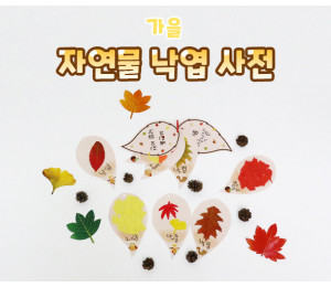 자연물 낙엽 사전