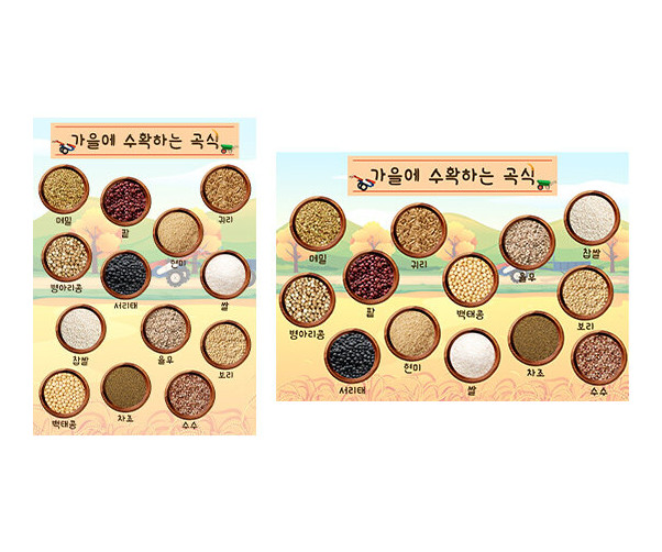 가을에 수확하는 곡식