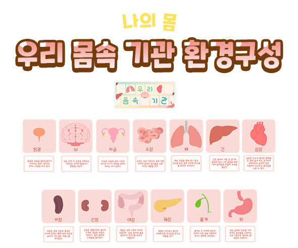 우리 몸속 기관 환경구성