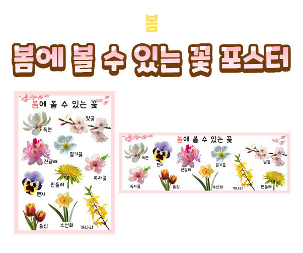 봄에 볼 수 있는 꽃 포스터