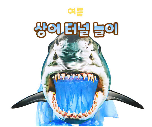 상어 터널 놀이
