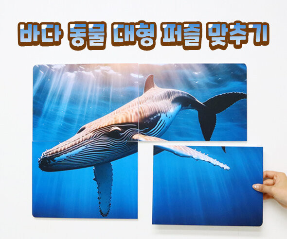 바다 동물 대형 퍼즐 맞추기