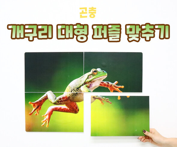 개구리 대형 퍼즐 맞추기