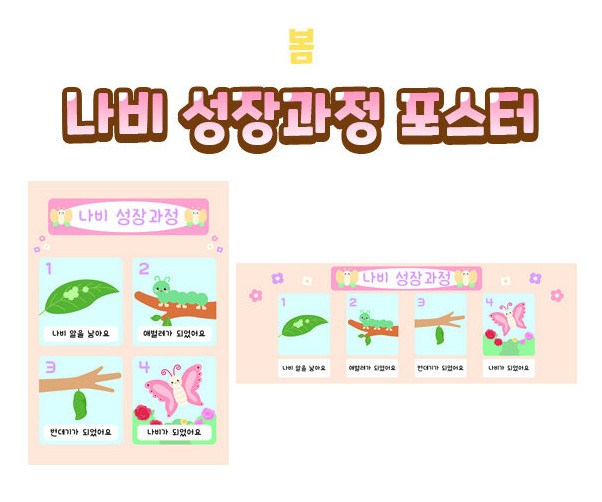 나비 성장과정 포스터