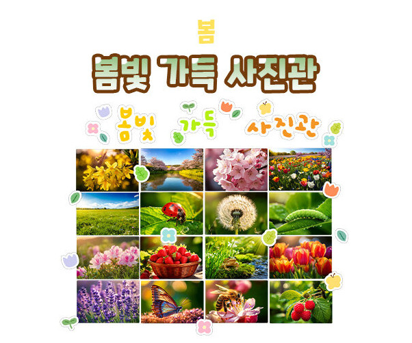 봄빛 가득 사진관