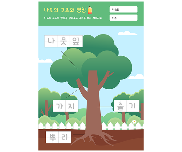 나무의 구조와 명칭