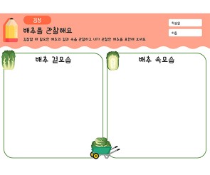 배추를 관찰해요