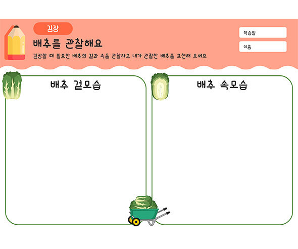 배추를 관찰해요