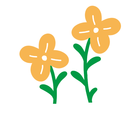 꽃