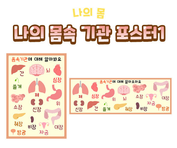 나의 몸속 기관 포스터