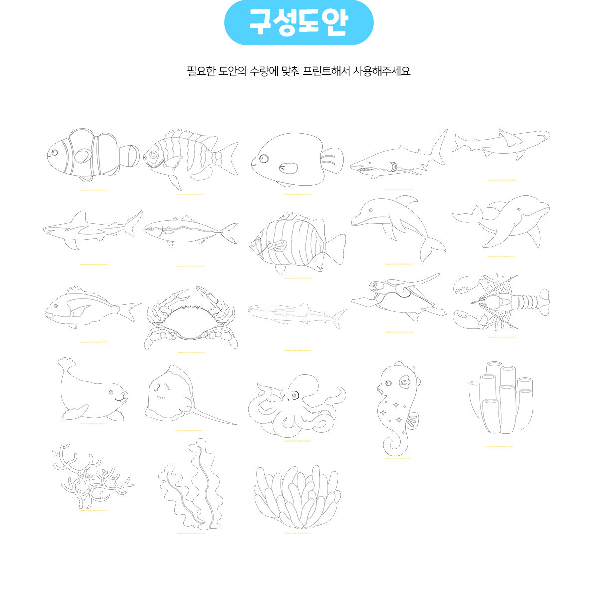 바다생물색칠하기
