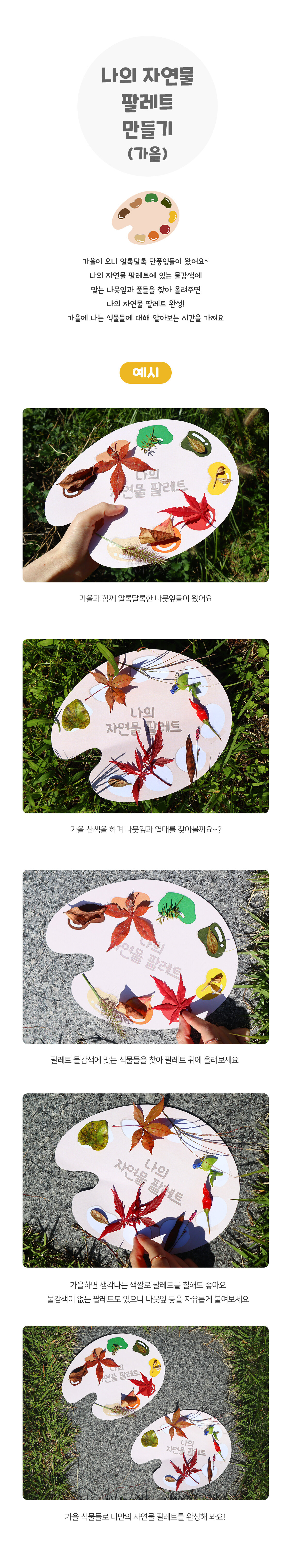 나의자연물팔레트만들기