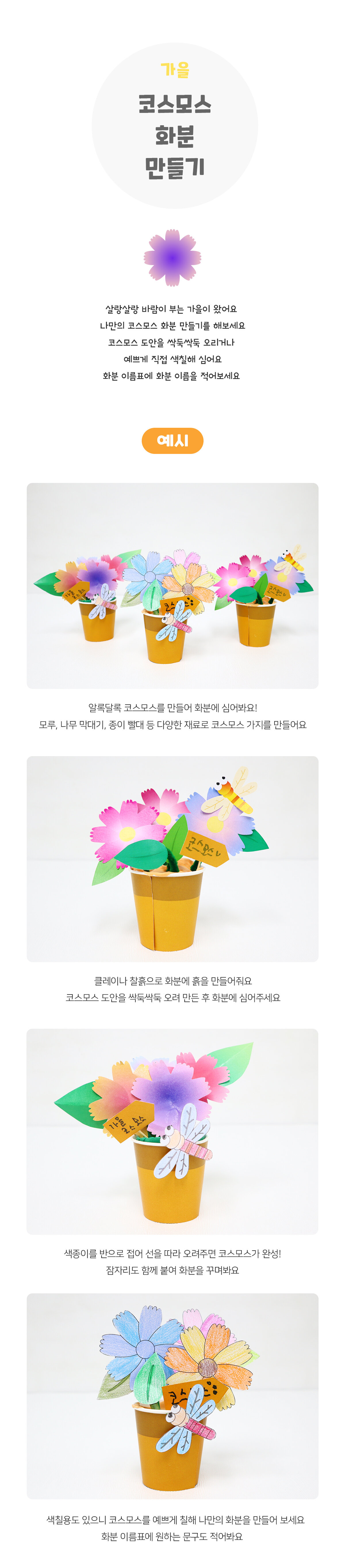 코스모스화분만들기