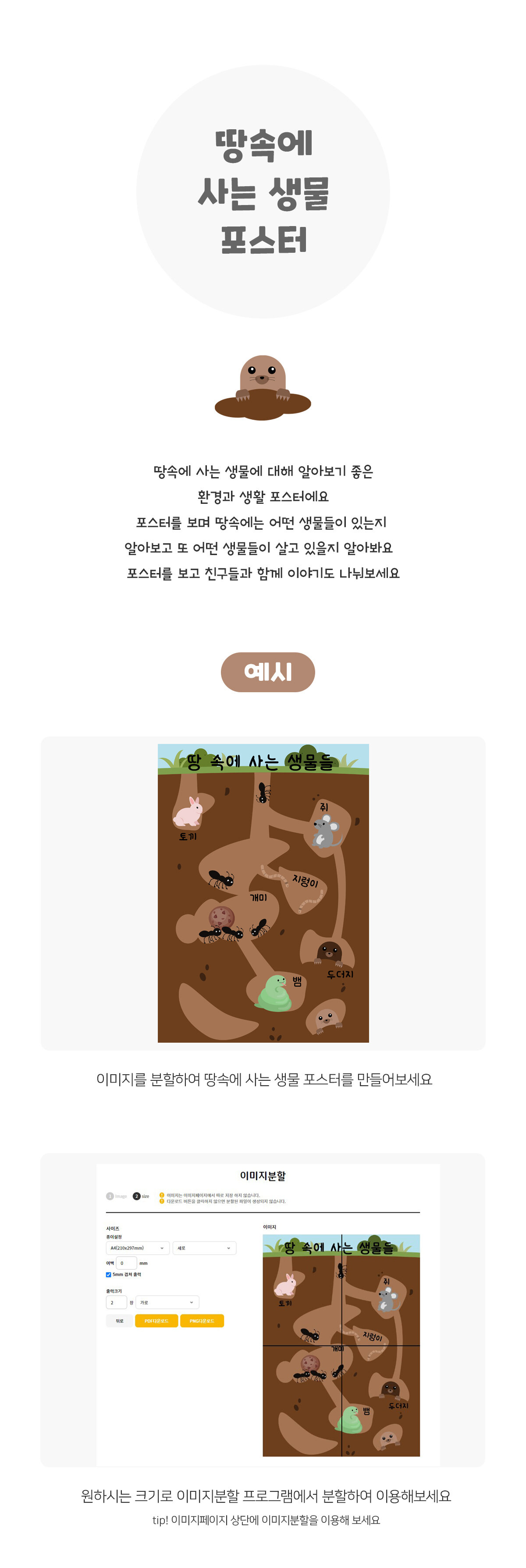 땅속에사는생물포스터