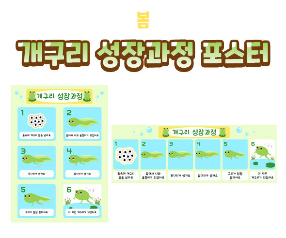 개구리성장과정포스터