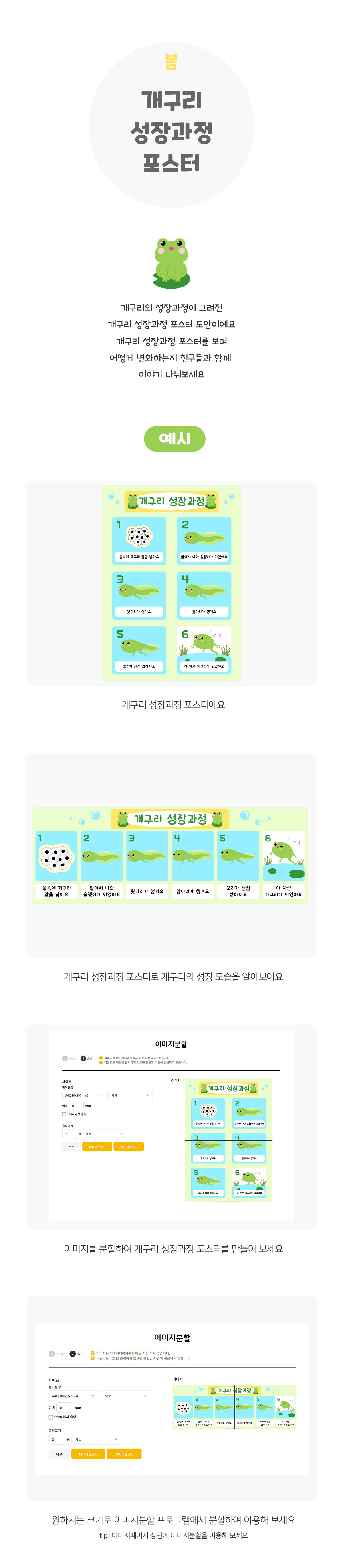 개구리성장과정포스터