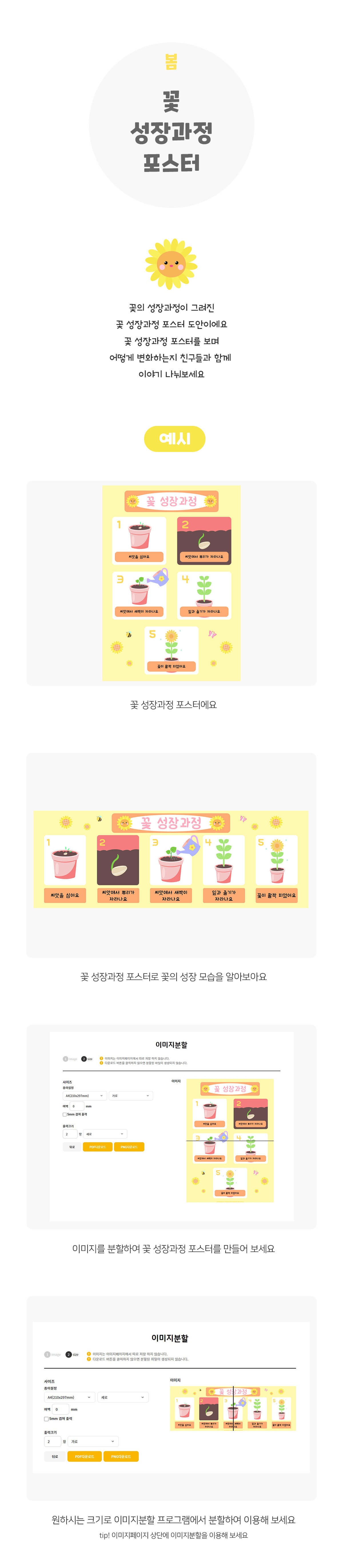 꽃성장과정포스터