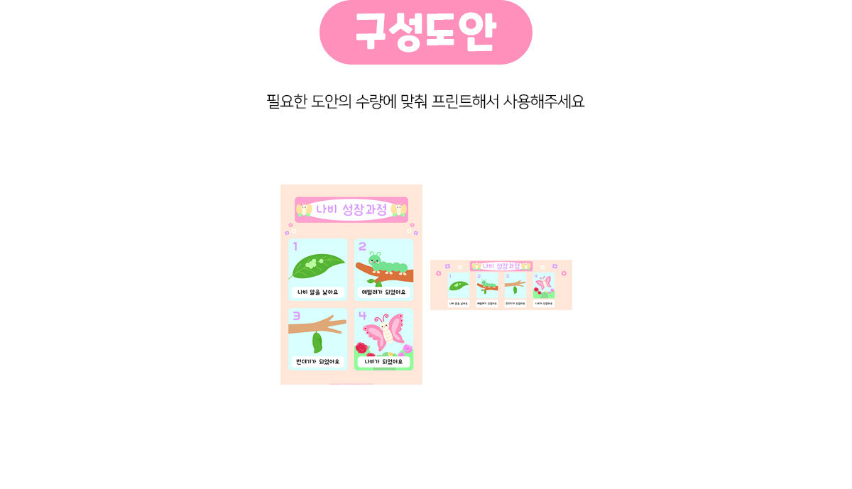 나비성장과정포스터