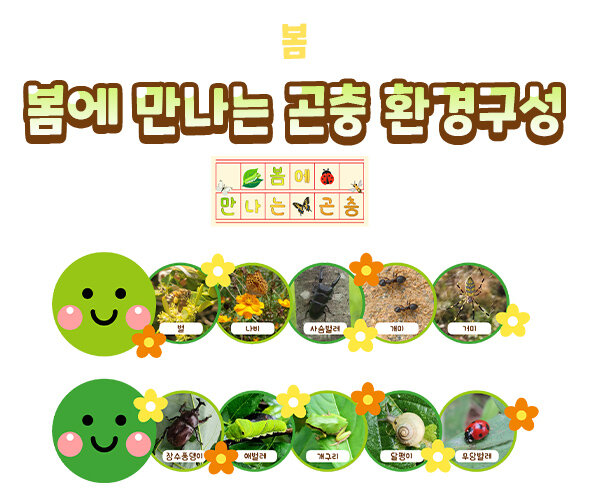 봄에만나는곤충환경구성 봄에만나는곤충환경구성