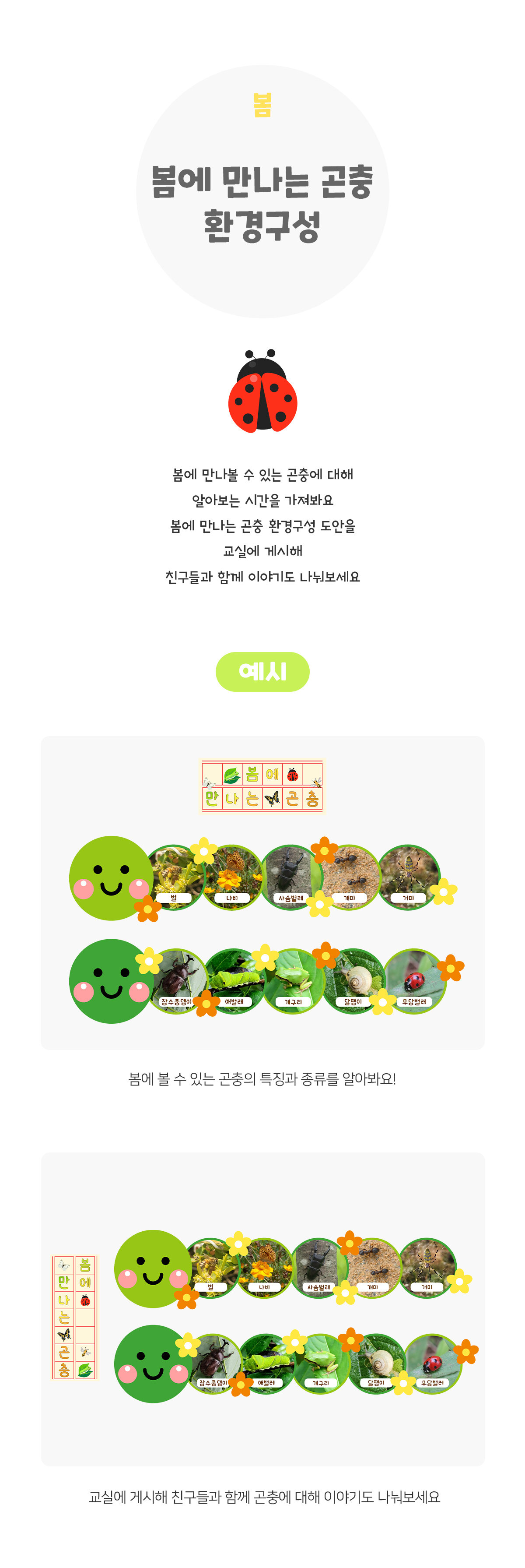 봄에만나는곤충환경구성 봄에만나는곤충환경구성