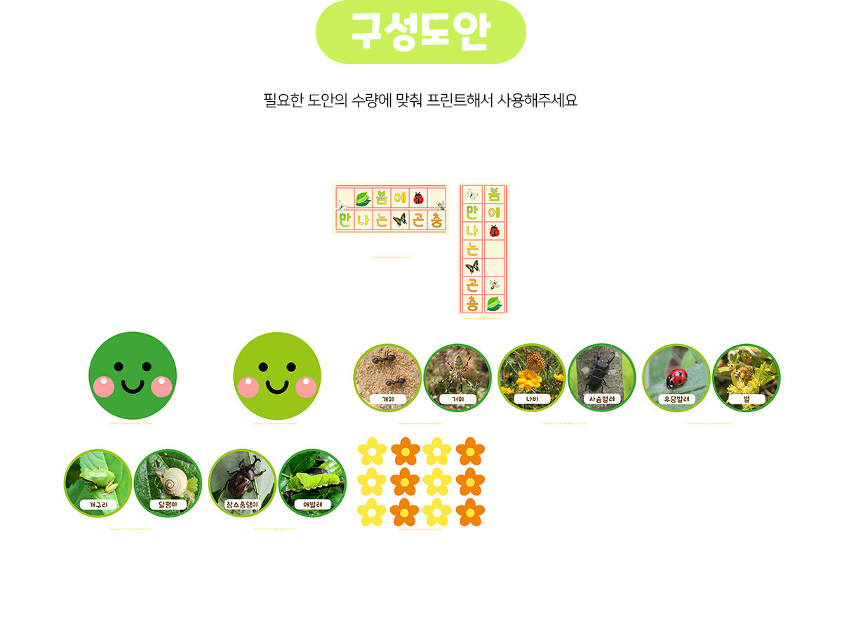 봄에만나는곤충환경구성 봄에만나는곤충환경구성