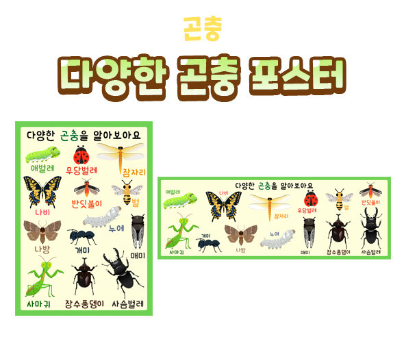 다양한곤충포스터