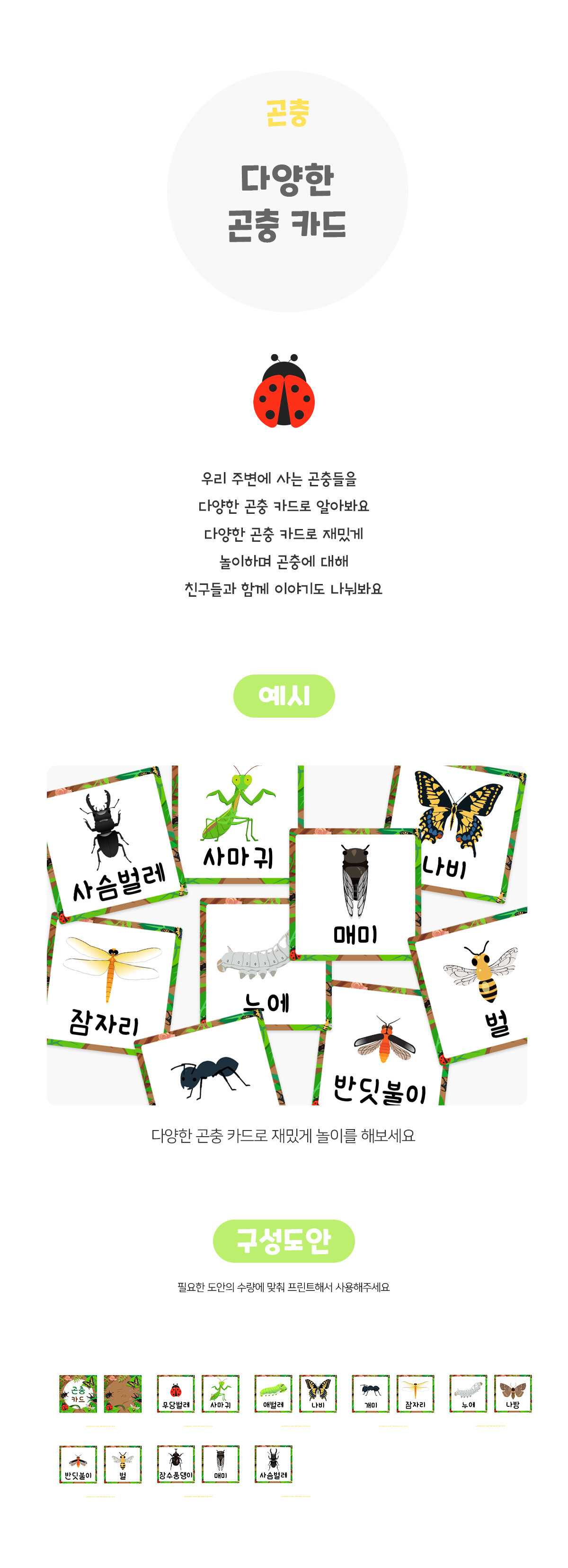 다양한곤충카드 다양한곤충카드