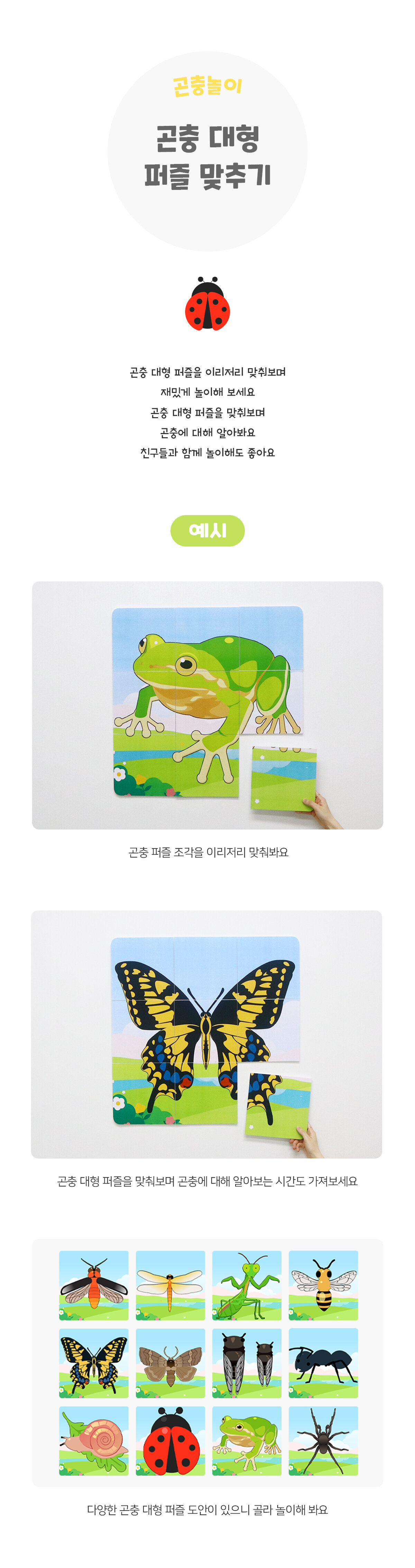 곤충대형퍼즐맞추기 곤충대형퍼즐맞추기