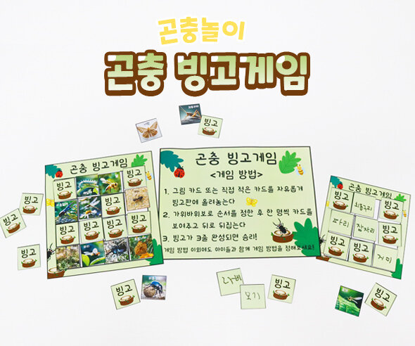 곤충빙고게임