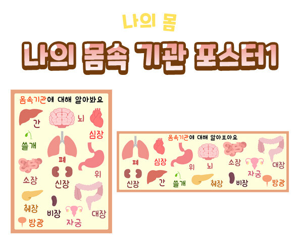 나의몸속기관포스터