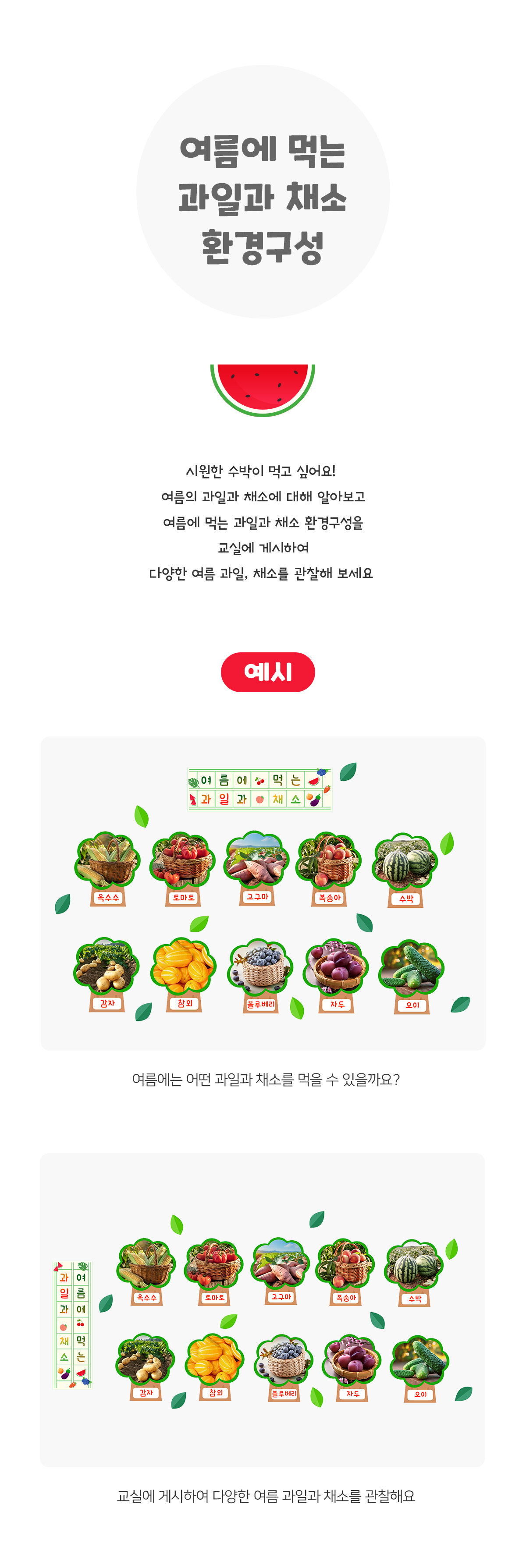 여름에먹는과일과채소환경구성