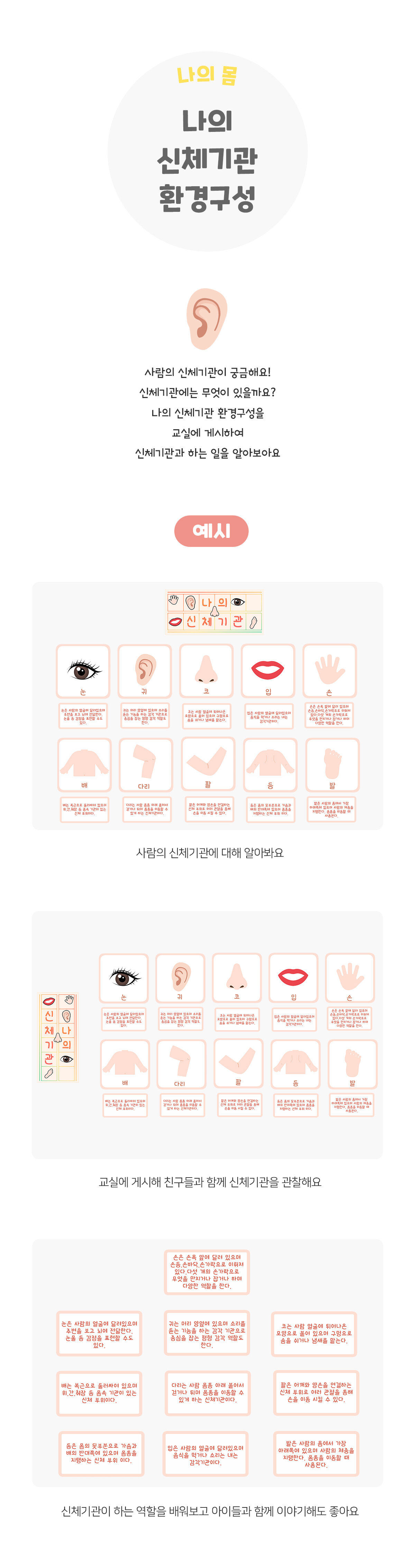 나의신체기관환경구성