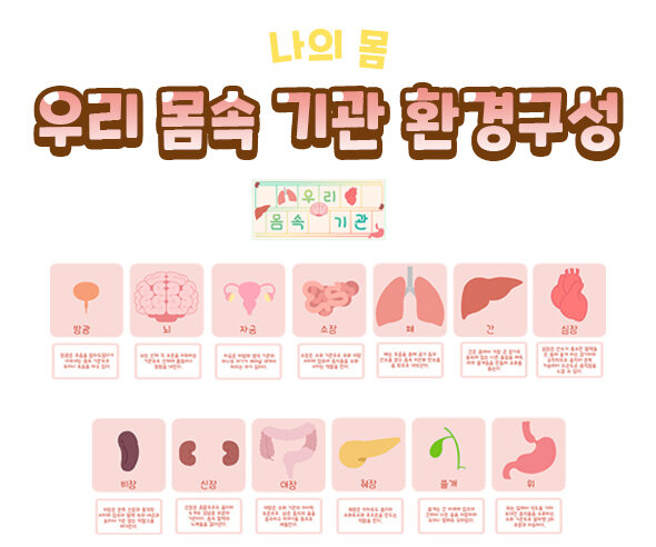 우리몸속기관환경구성