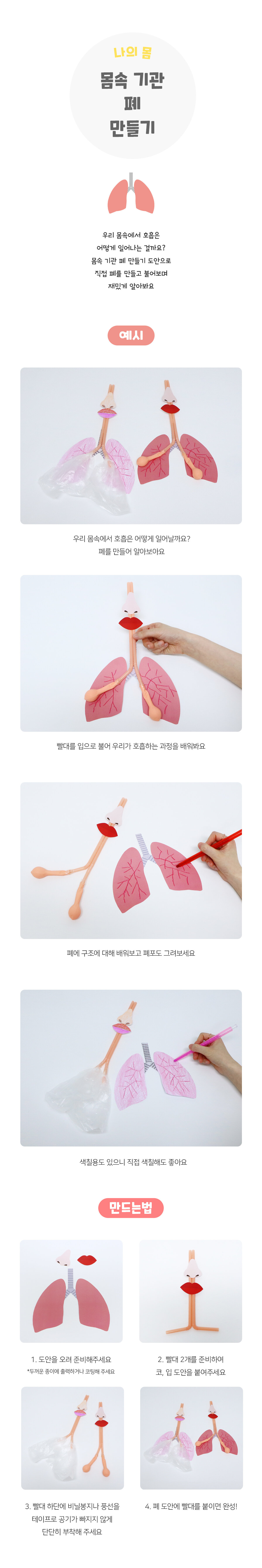 몸속기관폐만들기 몸속기관폐만들기