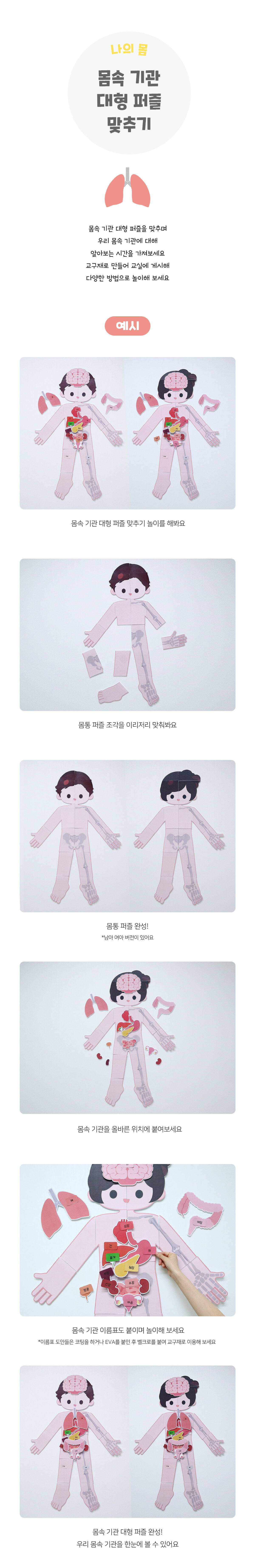 몸속기관대형퍼즐맞추기 몸속기관대형퍼즐맞추기