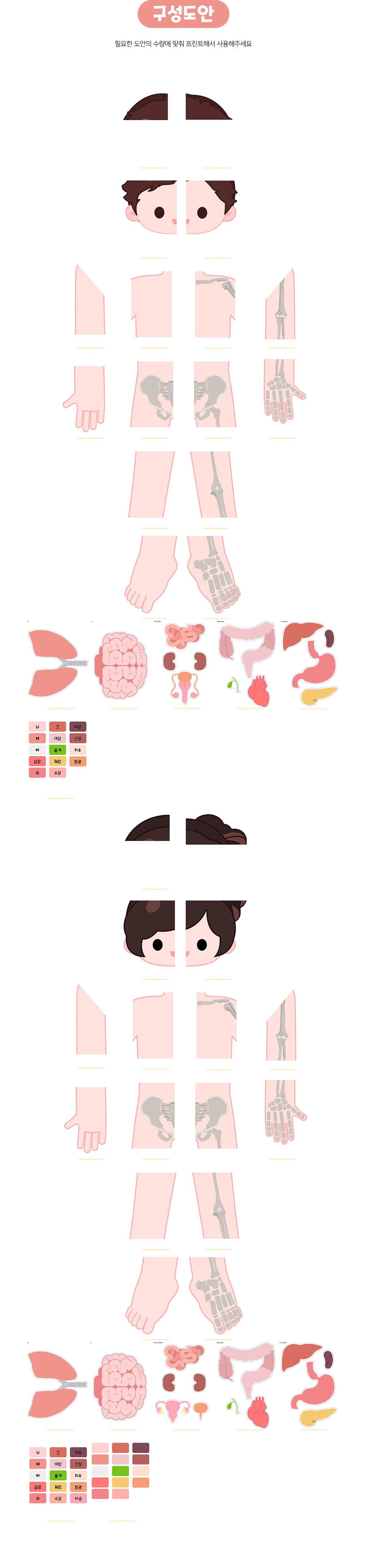 몸속기관대형퍼즐맞추기 몸속기관대형퍼즐맞추기