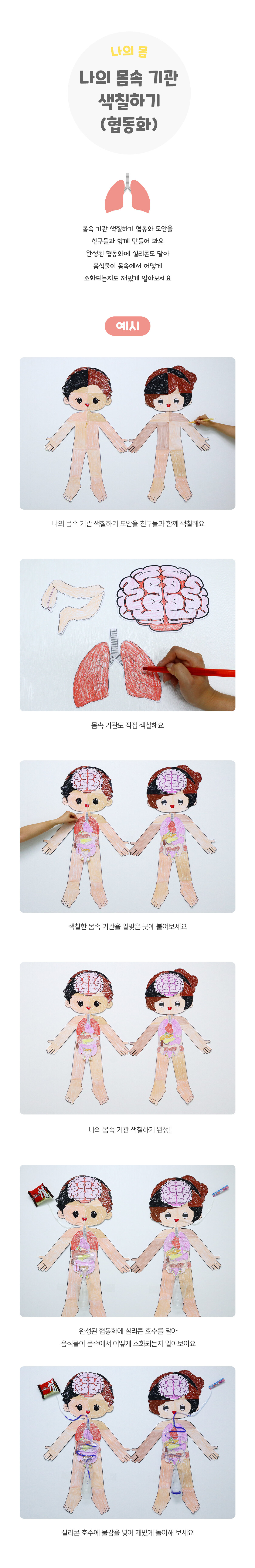 나의몸속기관색칠하기(협동화)